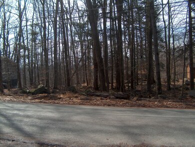 52 Red Hawk Dr, Paupack Township, PA 18436 - photo 3