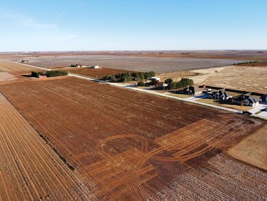 6617 Tiger Rd, Ropesville, TX 79358 - photo 3