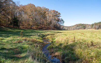 2453 Flat Branch Rd, Ellijay, GA 30540 - photo 2