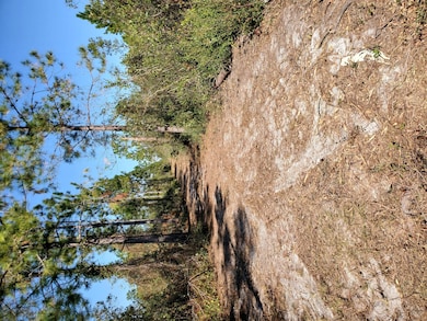 0 SW Wire Rd, Lee, FL 32059 - photo 5