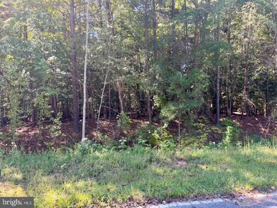 5329 Ridgewood Hills Dr, Williamsburg, VA 23188 - photo 2