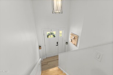 156 Milk Thistle Way, Fall Branch, TN 37656 - photo 7