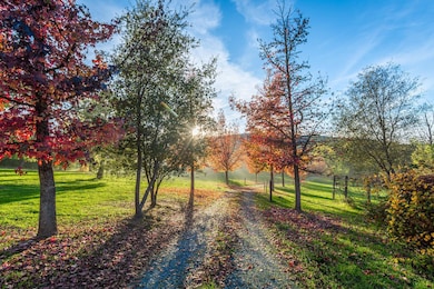 4221 Flapjack Ct, Lotus, CA 95651 - photo 4