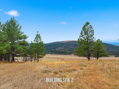 Lot 53 Frawley Ranch unit Lot 53 Frawley Ranch, Spearfish, SD 57783 - photo 7