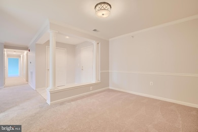 12021 Tralee Rd unit 504, Lutherville Timonium, MD 21093 - photo 5