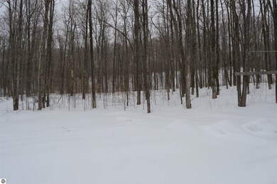 1556 S Magee Rd, Vanderbilt, MI 49795 - photo 6