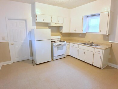 1015 N Chestnut St, Lansing, MI 48906 - photo 7