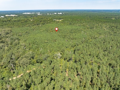 00 Mississippi 588, Collins, MS 39428 - photo 5