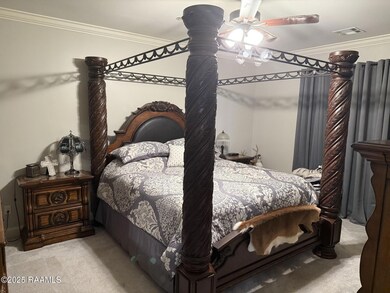 4198 Iota Hwy, Egan, LA 70531 - photo 5