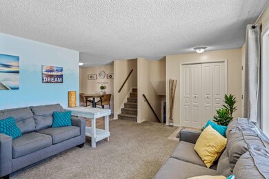 8-web-or-mls-SkyLight-Len-14
