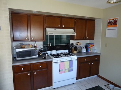 981 Elm Place, Princeton, IL 61356 - photo 4