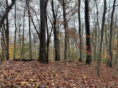 0 Poplar Ridge Ln, Franklin, NC 28734 - photo 6