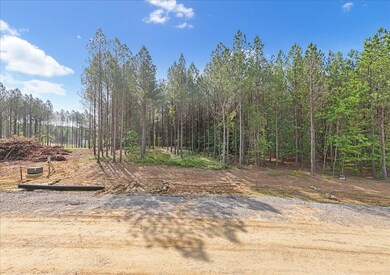 03-DJI_20250611092108_0021_D