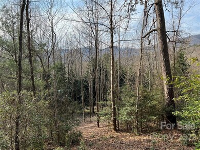 999 Sleepy Gap Rd unit 6, Arden, NC 28704 - photo 2