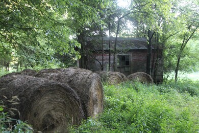 130E Highway 130, Shelbyville, TN 37160 - photo 7