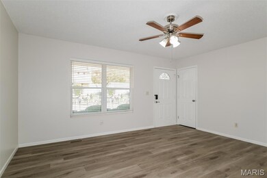 1094 Eagle Nest Dr, Festus, MO 63028 - photo 6