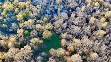 1215 Dennis Slaughter Rd, Pollock, LA 71467 - photo 6