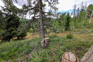 0 W Kokopelli Loop unit North Lot, Brian Head, UT 84719 - photo 3