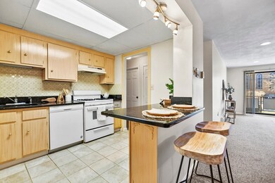 48 Bigelow Ave unit 13, Watertown, MA 02472 - photo 4