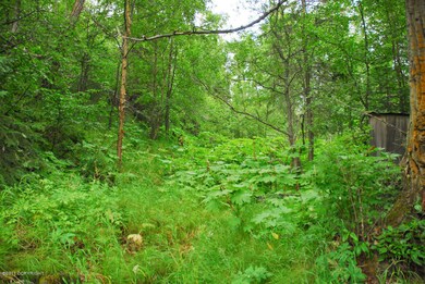 3211 Porcupine Trail Rd, Anchorage, AK 99516 - photo 6