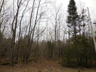 Stetson Land 4