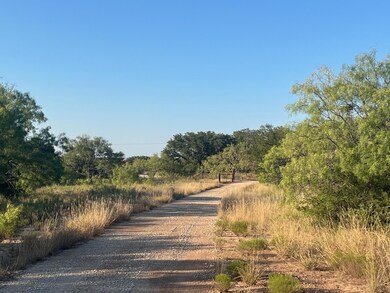 9559 County Road 133, Brownwood, TX 76801 - photo 2