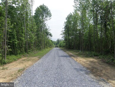 Lot C - 133-9.00-9.1 Easement Off of Shortly Rd, Georgetown, DE 19947 - photo 4