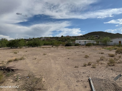 3902 S Mission Rd unit 1, Tucson, AZ 85746 - photo 3