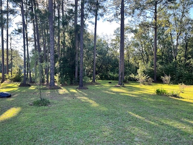 809 Ga Highway 56, Uvalda, GA 30473 - photo 5