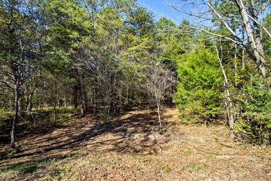 319 Gadusi Ln, Loudon, TN 37774 - photo 5