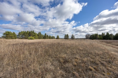 8665 Midstate Dr unit 11, Morton Township, MI 49332 - photo 6