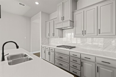 384 Paddle Boat Dr, Granbury, TX 76049 - photo 6