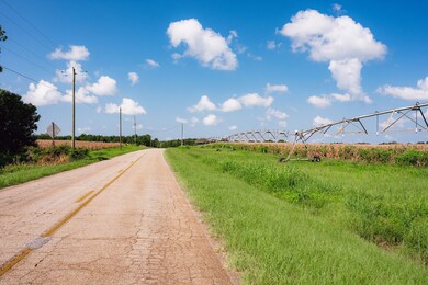 Home Place, Edison, GA 39846 - photo 3