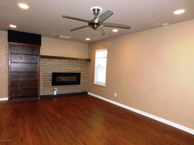 Living with Electric Fireplace