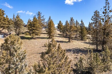 DJI_0235