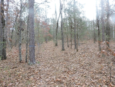 OFF Cold Spring Rd, Waldron, AR 72958 - photo 2