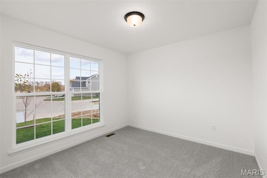 36 Shady Elm Ct, Saint Charles, MO 63301 - photo 3