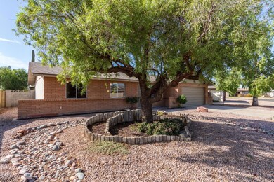 Nopal - 1269 (4)