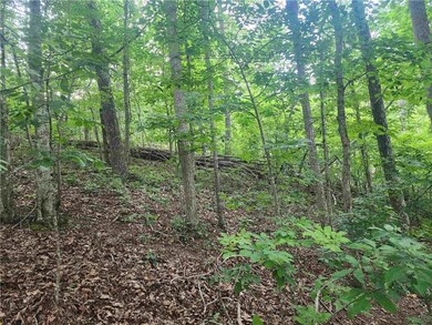 932 Apex Ct, Ranger, GA 30734 - photo 5