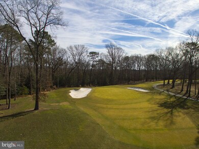 9 Wolfpit Ct, Rehoboth Beach, DE 19971 - photo 2