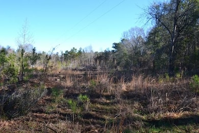 0 Chester - Cochran Hwy, Chester, GA 31014 - photo 7