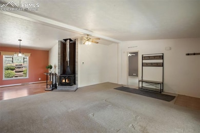 1011 W Bison Creek Trail, Divide, CO 80814 - photo 7