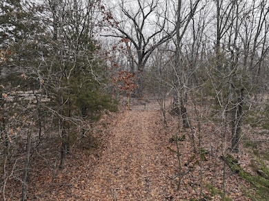 Shared Road