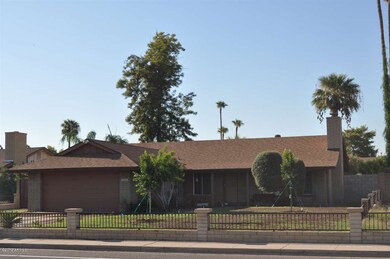 Front Yard 1