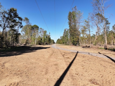 Old_Hwy_24_W_160_Acres-4