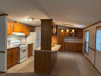 9103 N Union St unit 116, Tecumseh, MI 49286 - photo 5