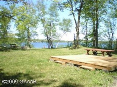 9991 Paulins Ln, Alexandria, MN 56308 - photo 2