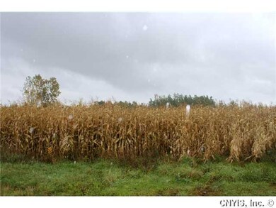 Land. Land is currently planted by neighboring far