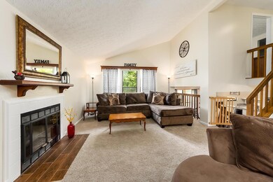 T 3653 Wango ct00004