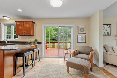 3 Brandywine Ln, Shirley, MA 01464 - photo 7